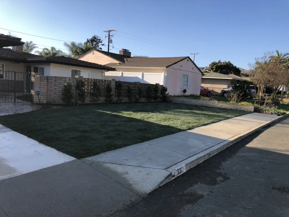 Professional outdoor landscaping with custom design across Oxnard, CA - Premium Landscape & More