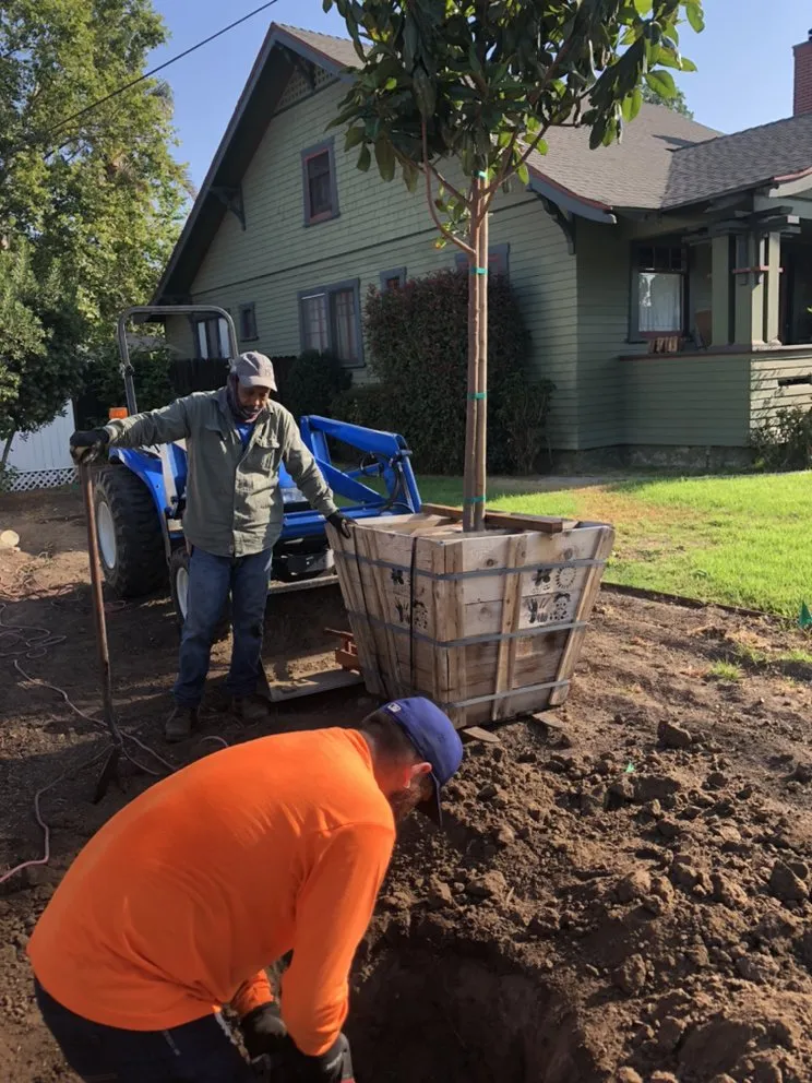 Trusted garden landscaping in Oxnard, CA - Premium Landscape & More