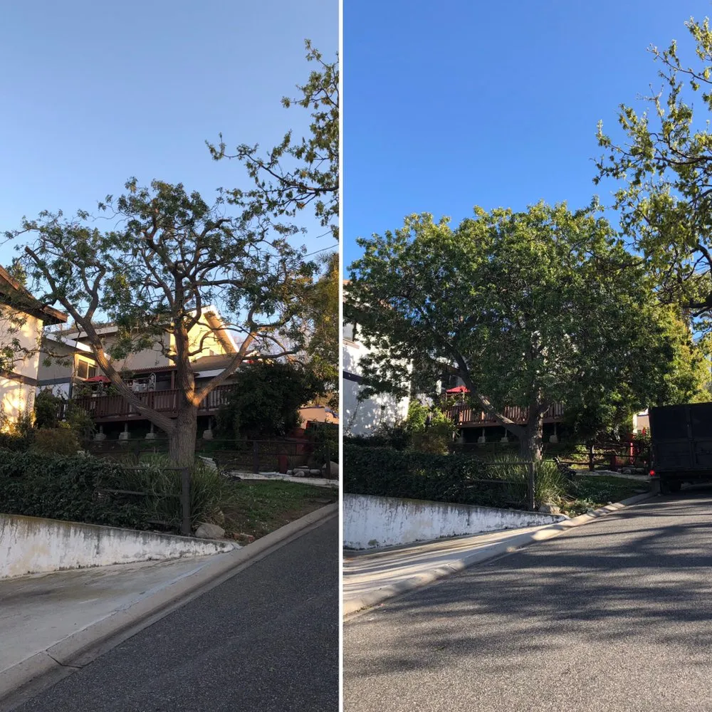 Local residential landscaping for year-round maintenance in Oxnard, CA by Premium Landscape & More