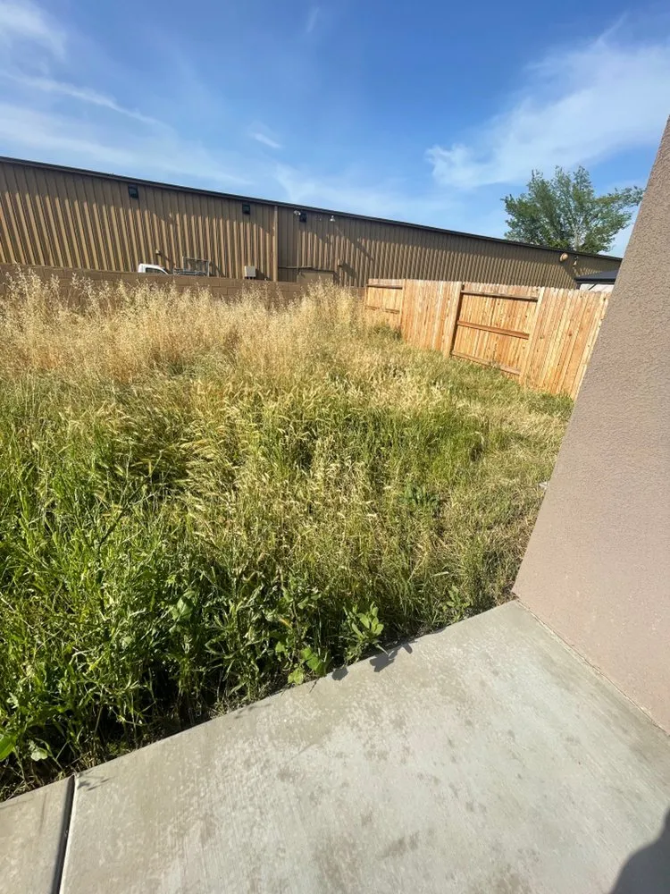 Custom residential landscaping near you across Sacramento, CA - Premium Landscape Company