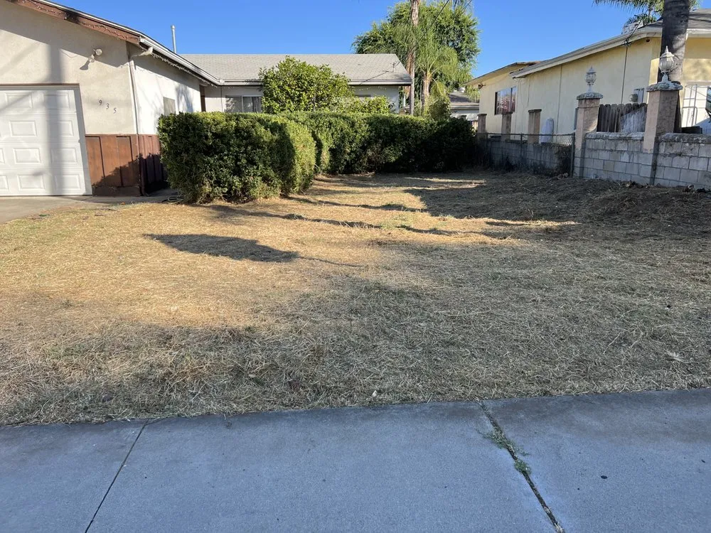 Custom yard maintenance in Hemet, CA - Premium Landscape