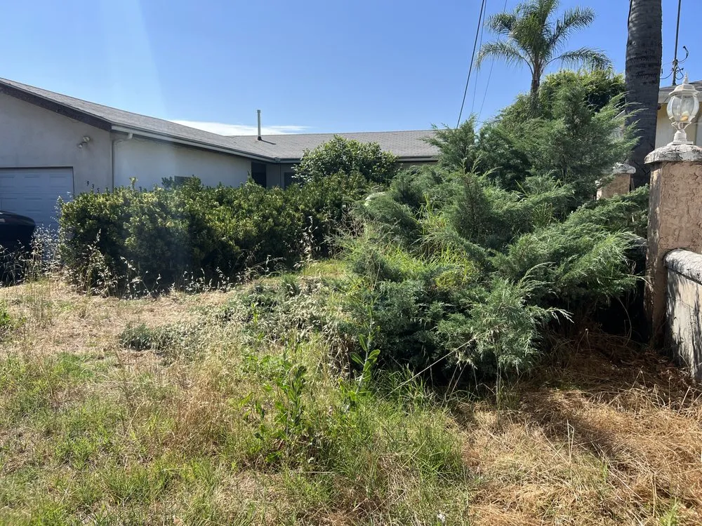 Top-rated landscaping services in Hemet, CA by Premium Landscape