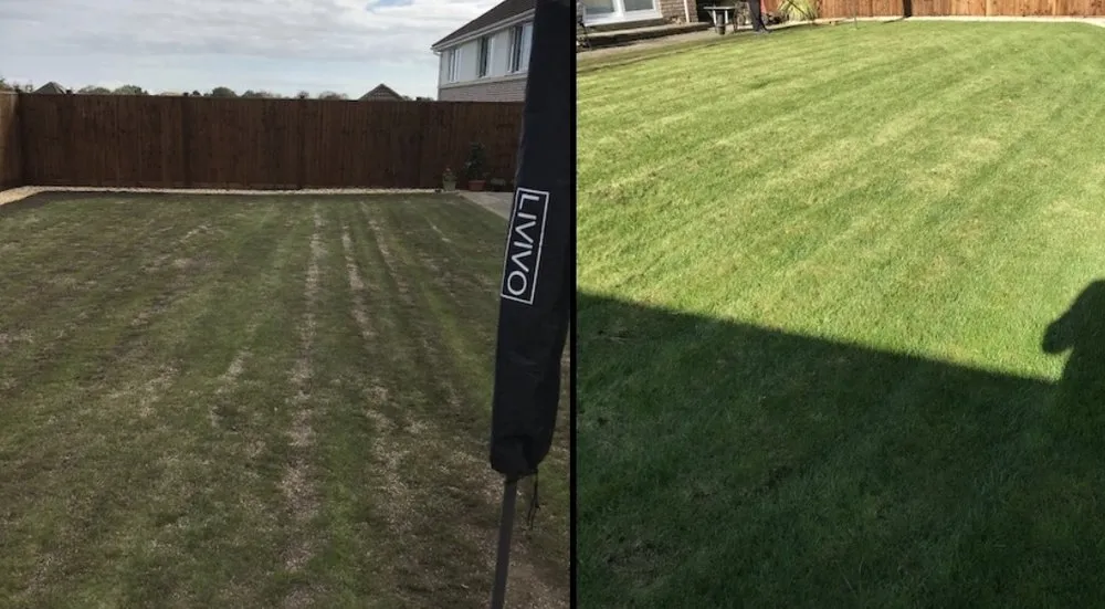 Expert yard maintenance near you across Hemet, CA - Premium Landscape