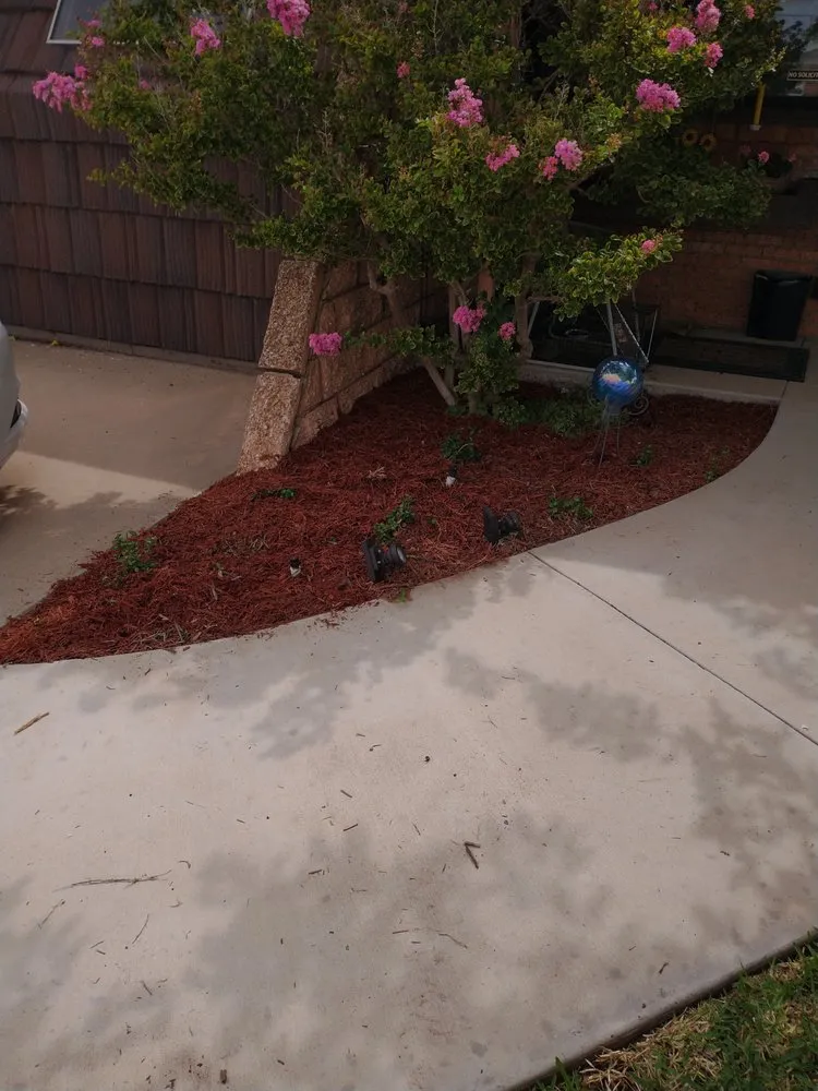 Expert landscape design in Odessa, TX - Premium landscape