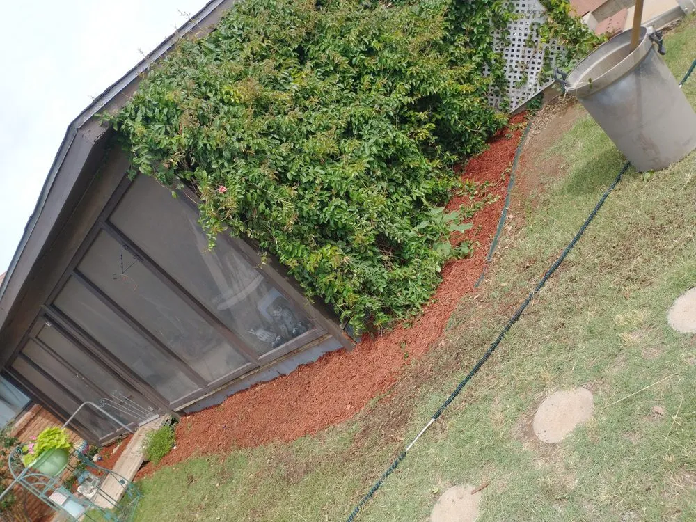 Local landscape installation experts serving Odessa, TX - Premium landscape