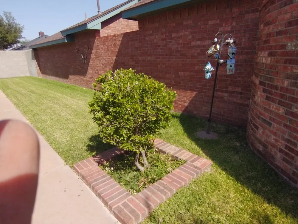 Reliable garden landscaping in Odessa, TX - Premium landscape