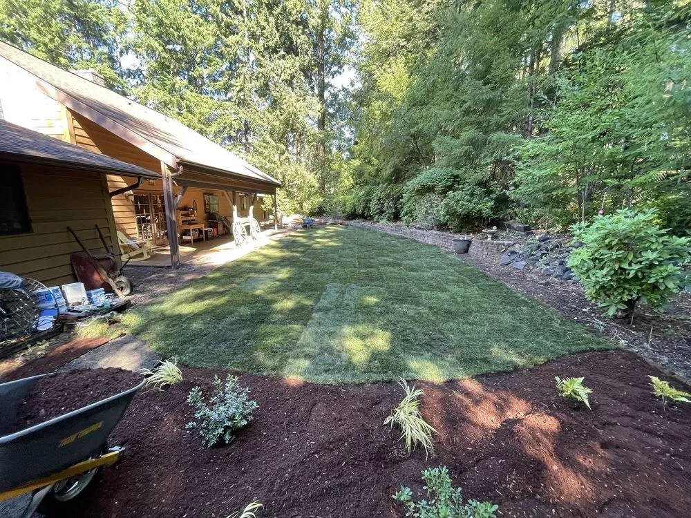 Trusted yard cleanup service near you in Olympia, WA by Premium Landscape Services