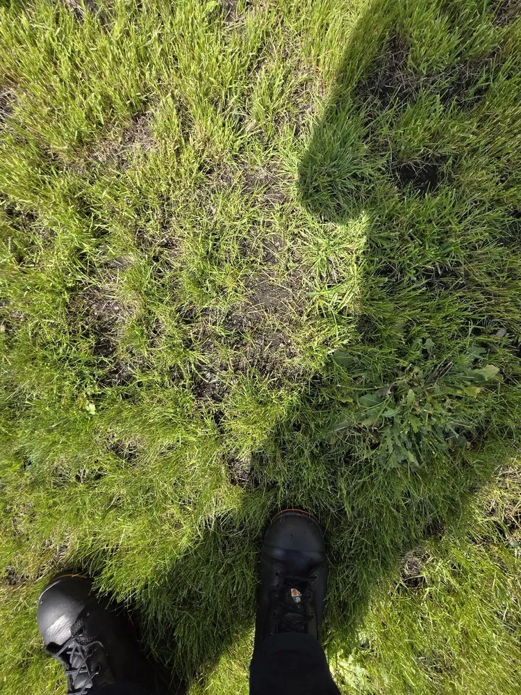 Custom landscaping services in Olympia, WA - Premium Landscape Services