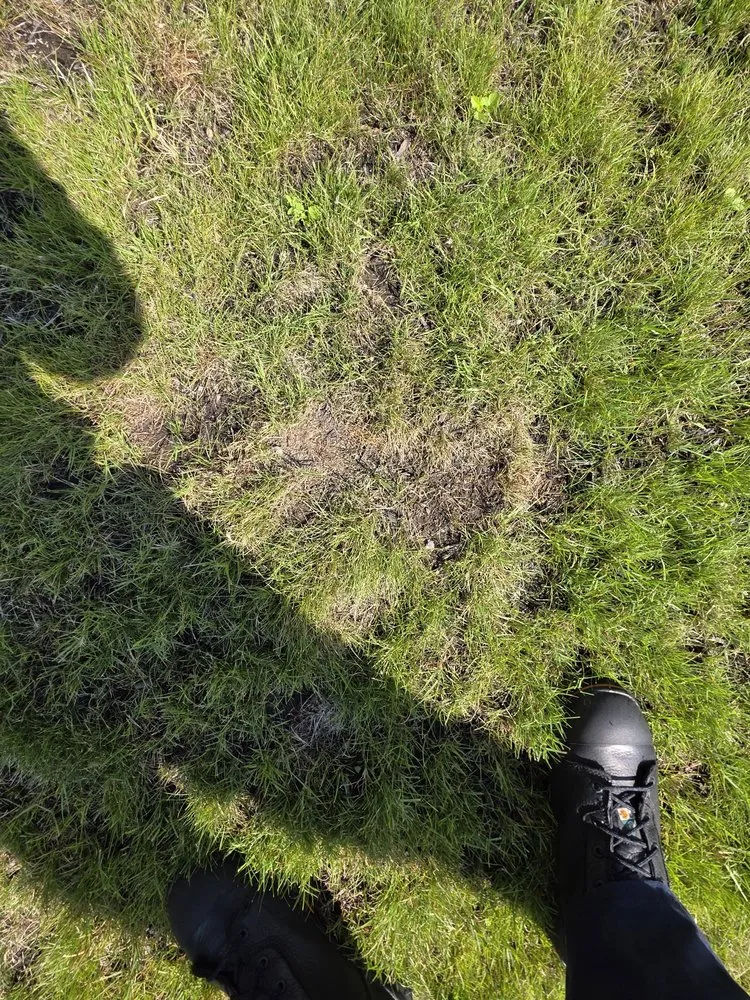 Top-rated residential landscaping near you across Olympia, WA - Premium Landscape Services