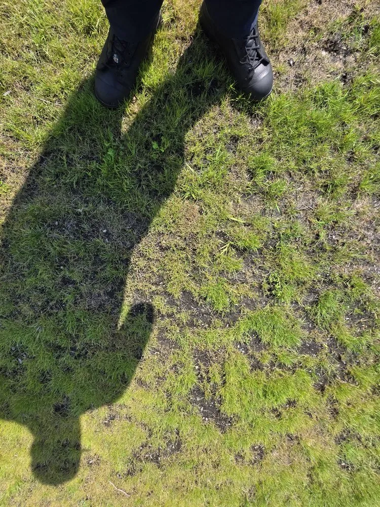 Reliable residential landscaping in Olympia, WA - Premium Landscape Services