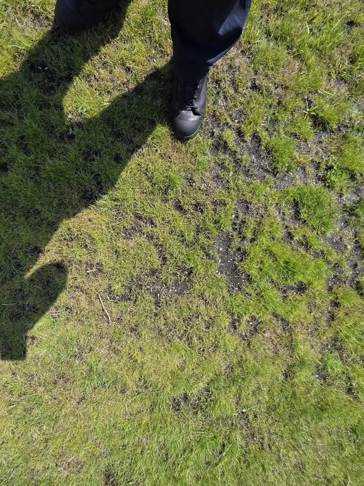 Top-rated lawn mowing service in Olympia, WA by Premium Landscape Services