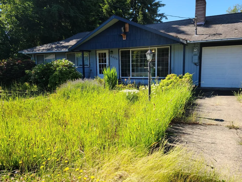 Reliable landscape installation experts serving Olympia, WA - Premium Landscape Services