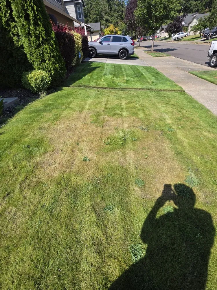 Custom residential landscaping for homes in Olympia, WA by Premium Landscape Services