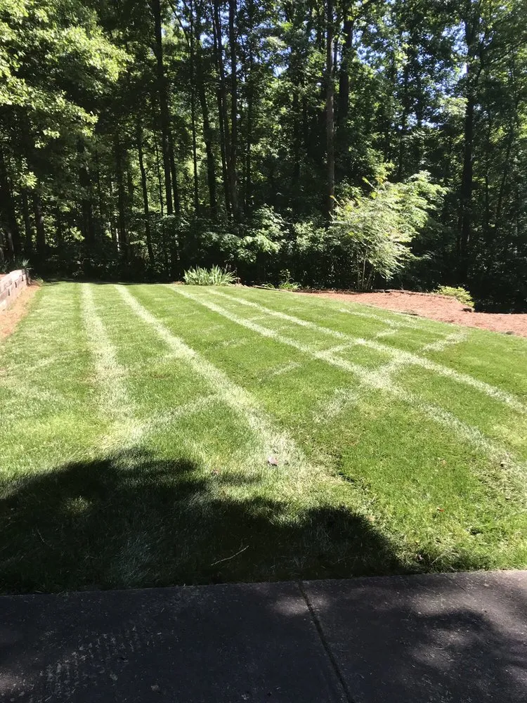 Local yard maintenance in Clemmons, NC - Premium Landscapes & Lawn Care