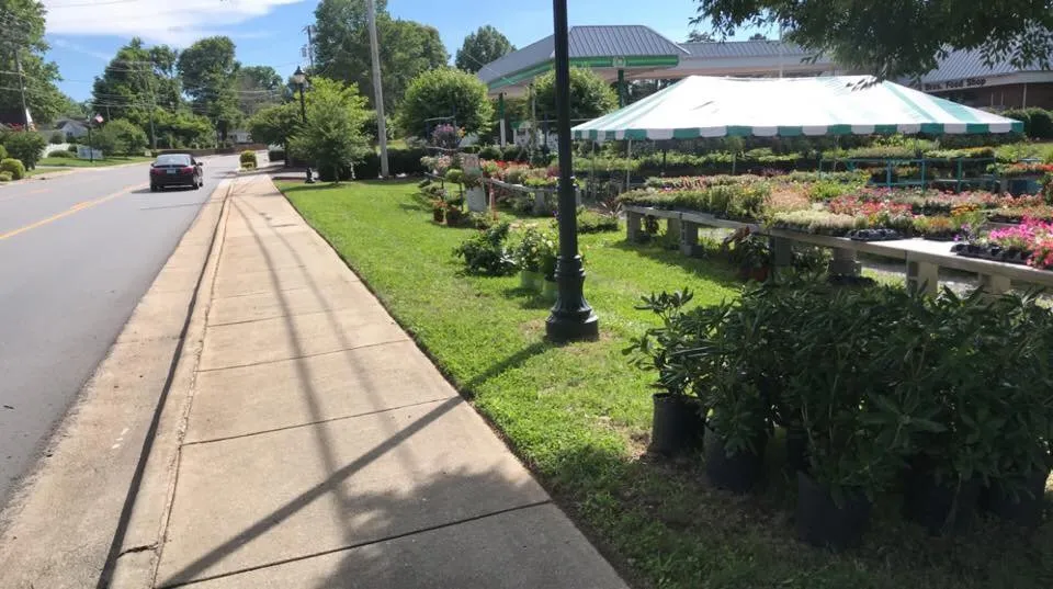 Local yard cleanup service in Clemmons, NC by Premium Landscapes & Lawn Care