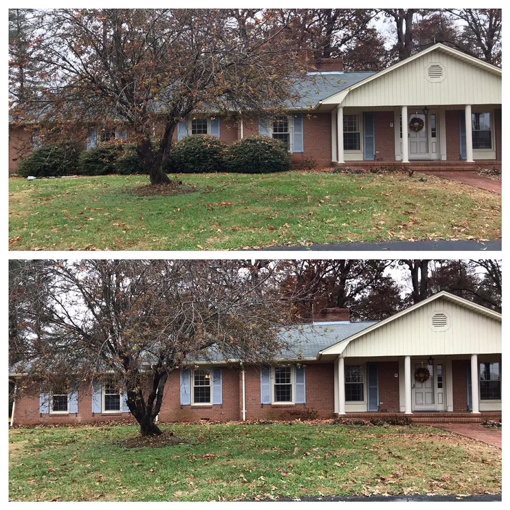 Local yard cleanup service experts serving Clemmons, NC - Premium Landscapes & Lawn Care