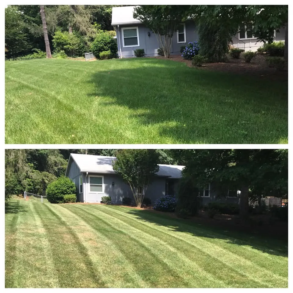 Local landscape installation for outdoor upgrades in Clemmons, NC by Premium Landscapes & Lawn Care