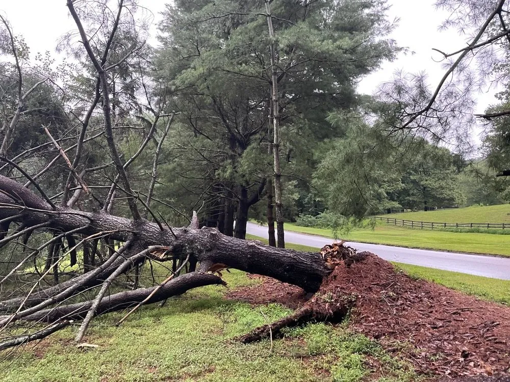 Trusted yard maintenance experts serving Middle River, MD - Premium Landscapes