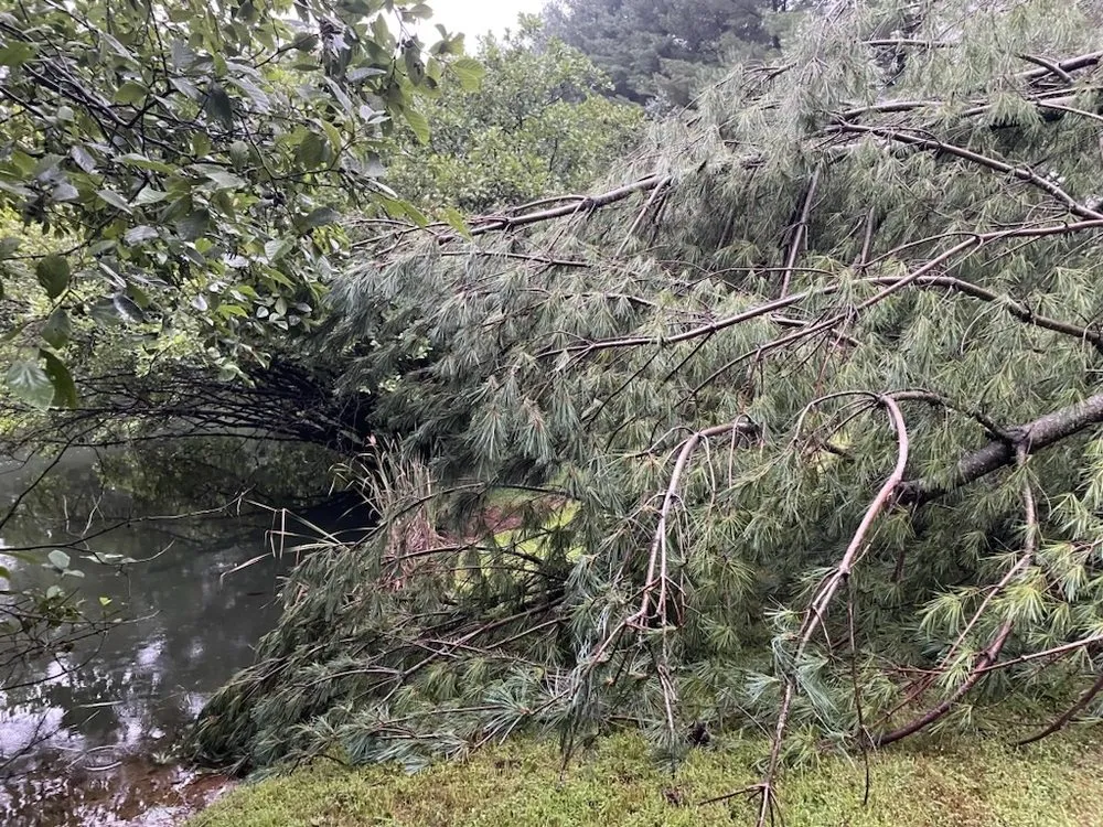 Affordable landscaping services in Middle River, MD by Premium Landscapes