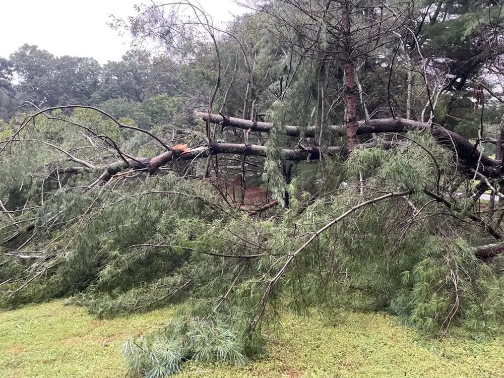 Expert lawn care service for beautiful yards in Middle River, MD by Premium Landscapes