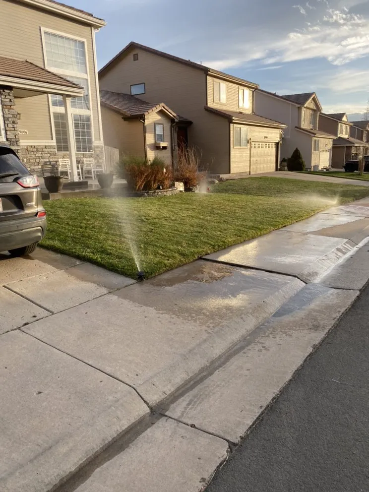 Custom landscape installation in Denver, CO by Premium Landscaping & Concrete