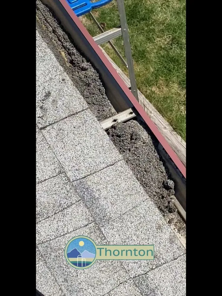 Affordable garden landscaping in Denver, CO by Premium Landscaping & Concrete