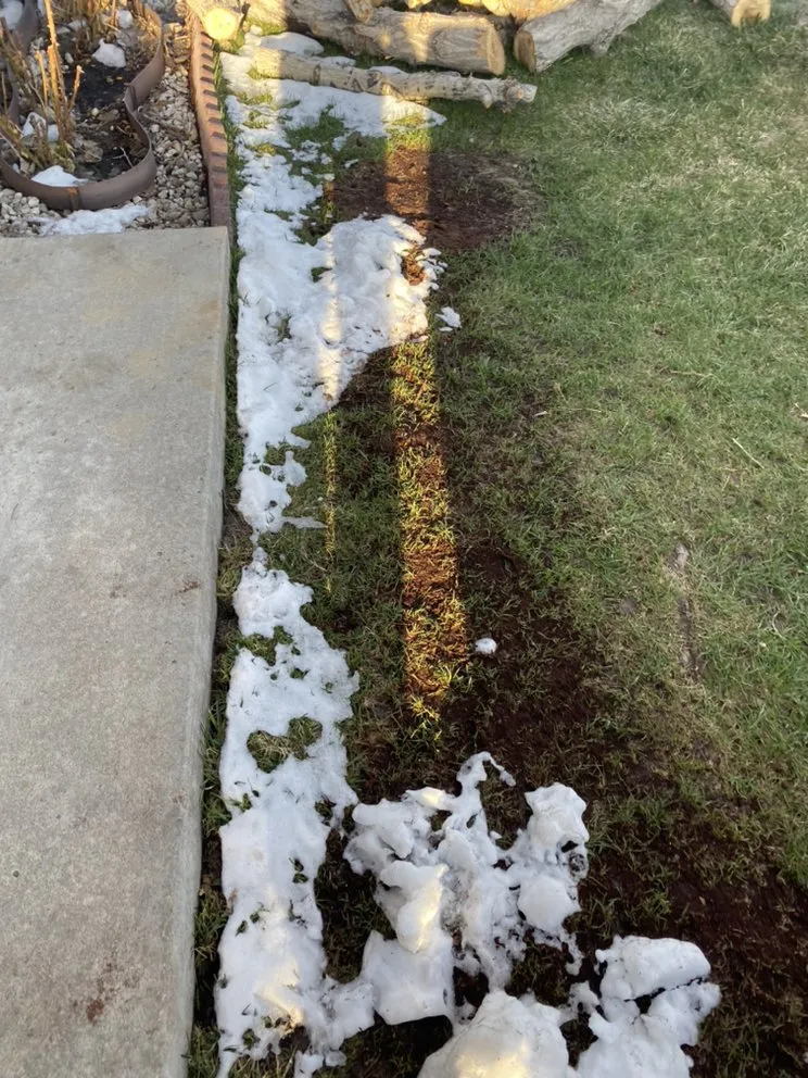 Local outdoor landscaping with custom design in Denver, CO by Premium Landscaping & Concrete