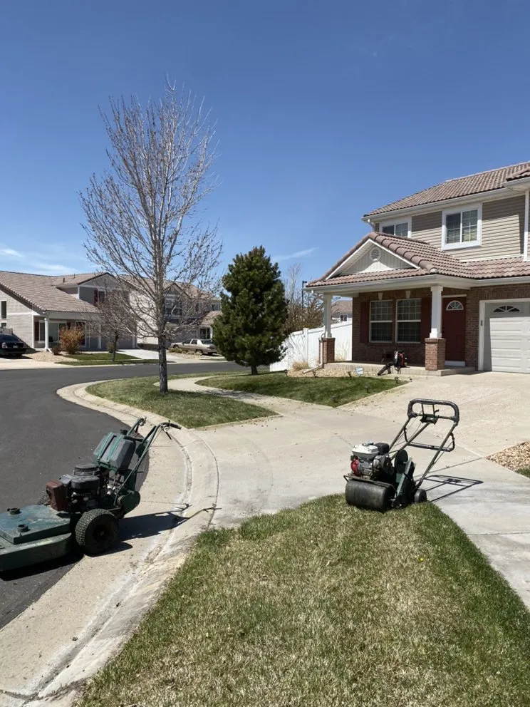 Top-rated landscaping services experts serving Denver, CO - Premium Landscaping & Concrete