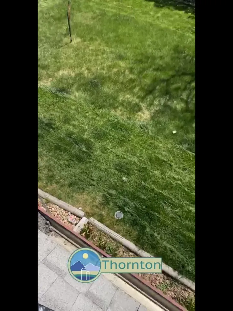 Affordable yard cleanup service for homes in Denver, CO by Premium Landscaping & Concrete