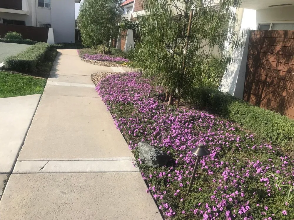 Local outdoor landscaping in Escondido, CA - Premium Landscaping & Design