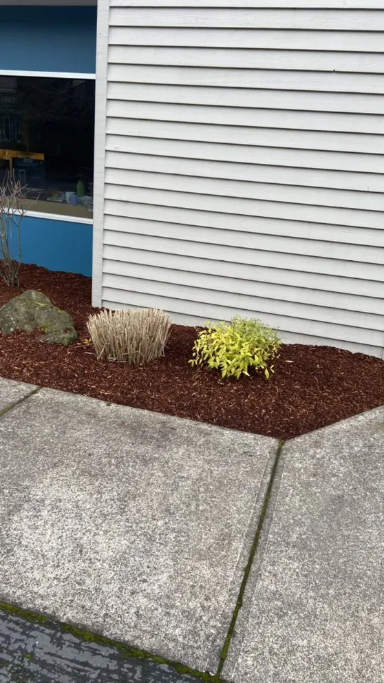 Top-rated outdoor landscaping experts serving Salem, OR - Premium Landscaping & Maintenance
