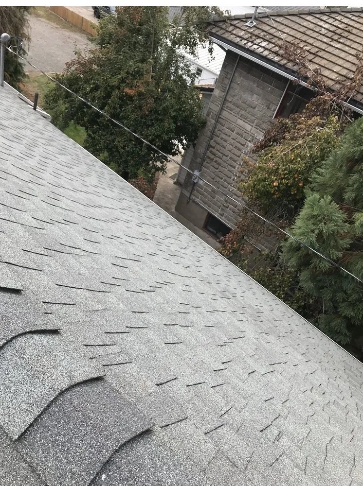 Expert yard cleanup service with custom design across Salem, OR - Premium Landscaping & Maintenance