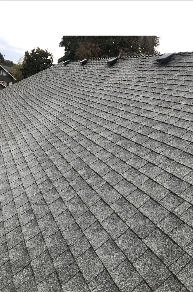 Custom yard cleanup service experts serving Salem, OR - Premium Landscaping & Maintenance