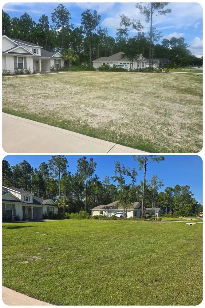 Affordable yard cleanup service experts serving Brunswick, GA - Premium Landscaping