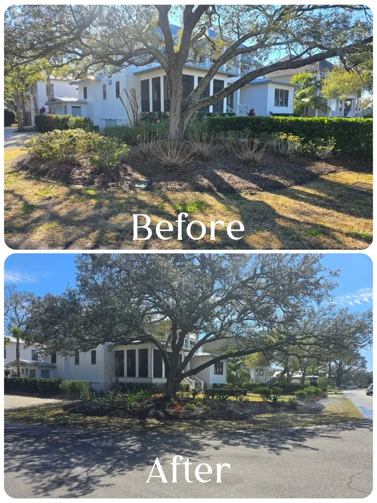 Expert landscape design in Brunswick, GA by Premium Landscaping