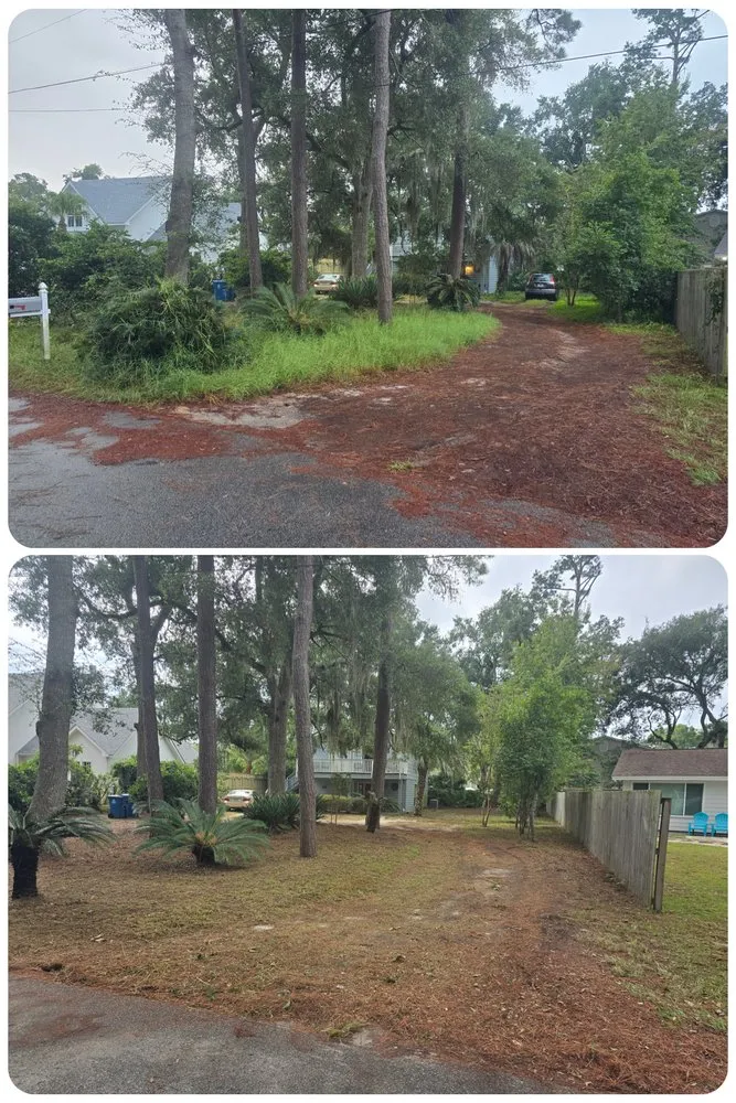 Top-rated yard cleanup service in Brunswick, GA - Premium Landscaping