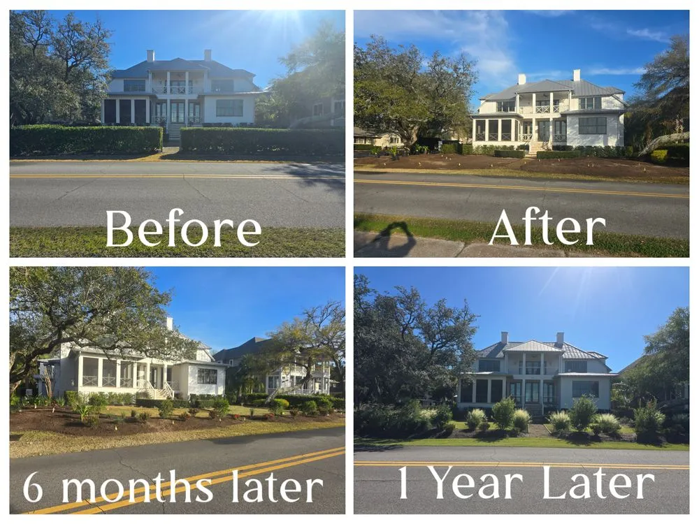 Local garden landscaping experts serving Brunswick, GA - Premium Landscaping