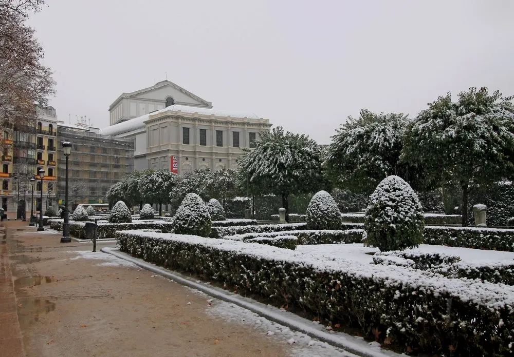 Custom yard cleanup service with custom design in Oak Forest, IL by Premium Landscaping Company