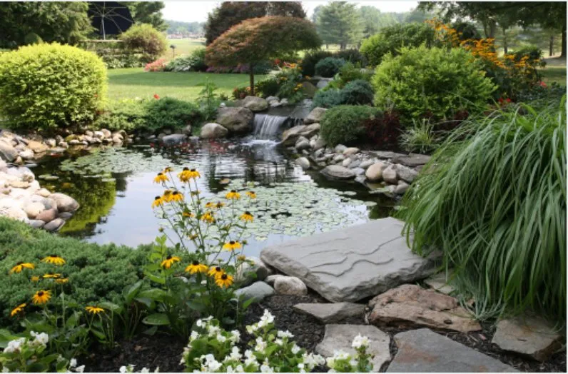 Trusted yard cleanup service for homes across Oak Forest, IL - Premium Landscaping Company