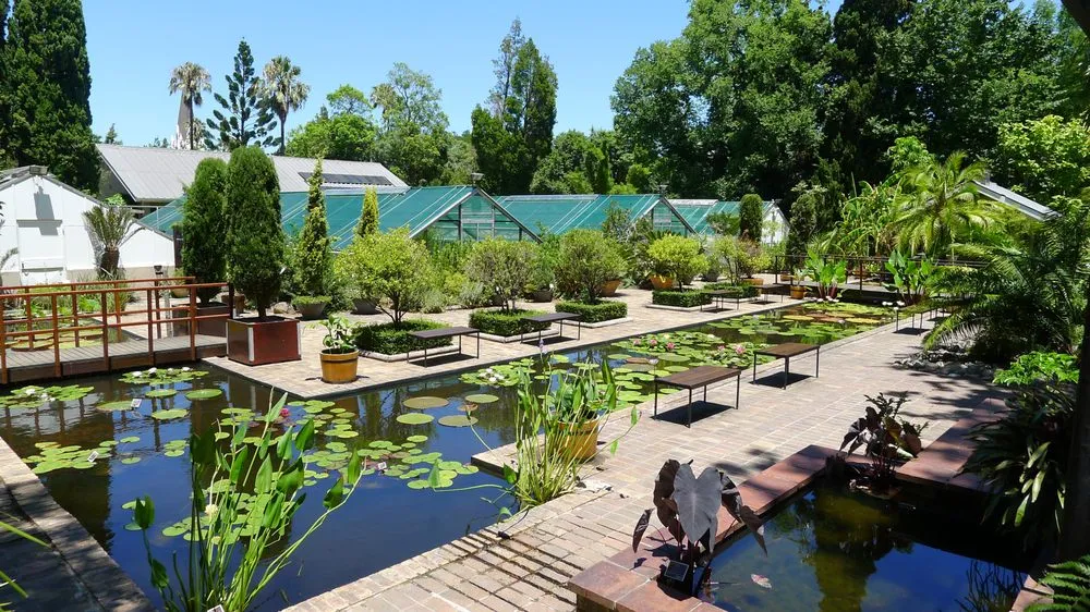 Affordable lawn care service experts serving Oak Forest, IL - Premium Landscaping Company