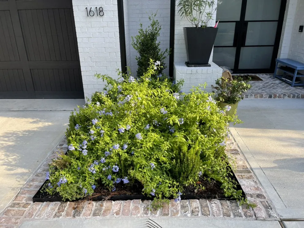 Top-rated landscaping services experts serving Houston, TX - Premium Landscaping