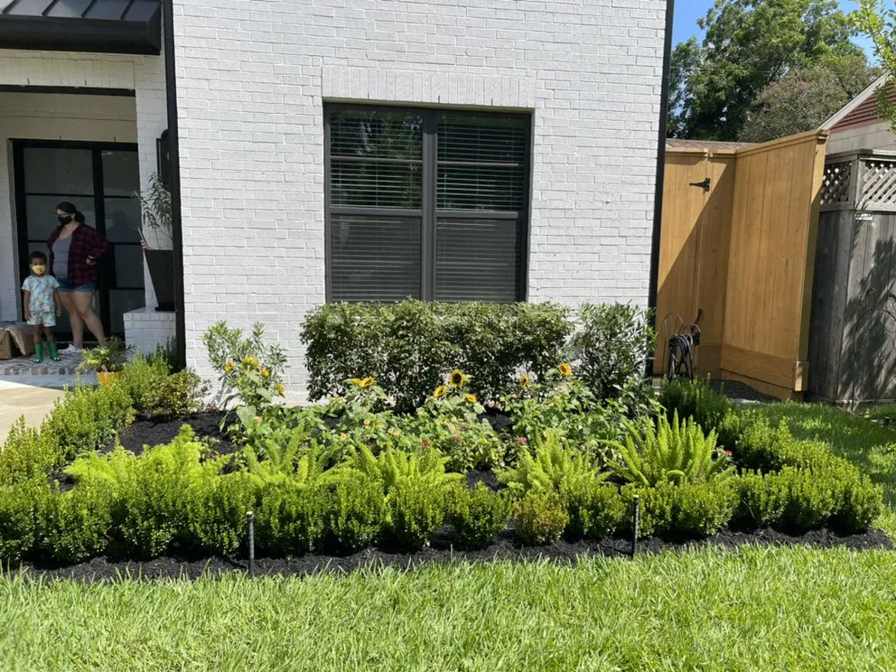 Affordable landscaping services in Houston, TX by Premium Landscaping
