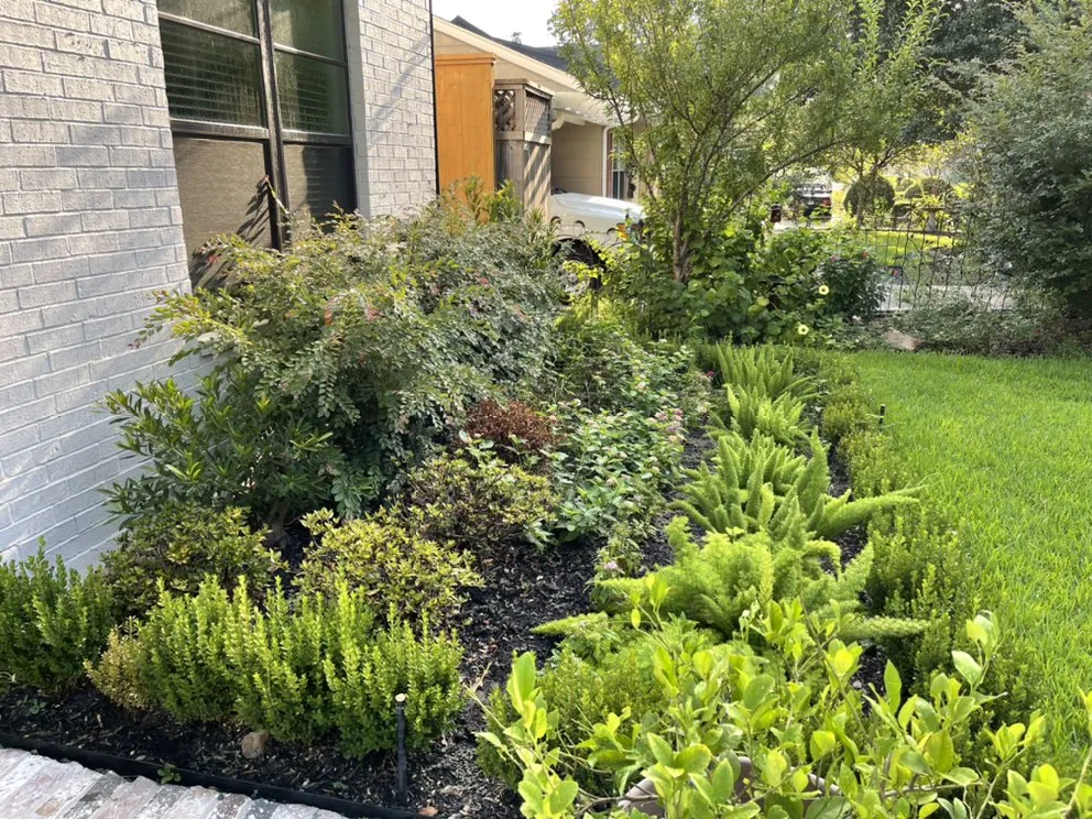 Trusted outdoor landscaping in Houston, TX - Premium Landscaping