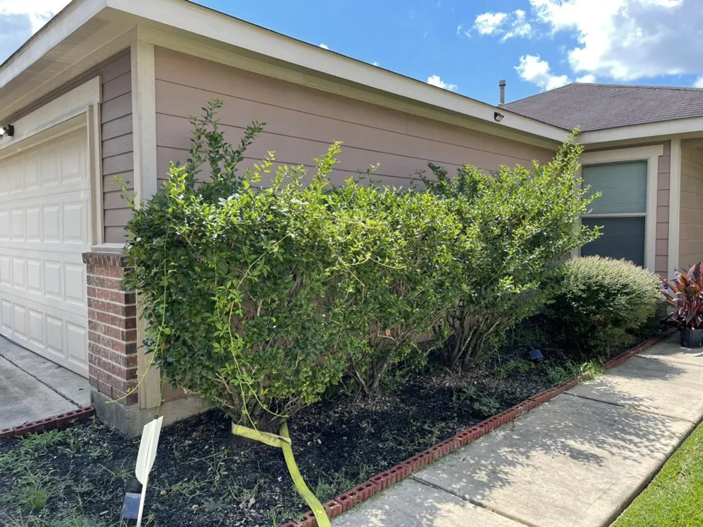 Local yard cleanup service experts serving Houston, TX - Premium Landscaping