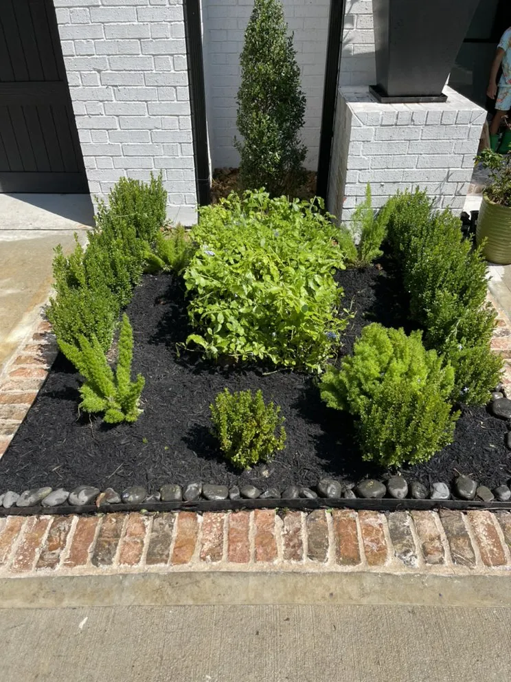 Reliable lawn mowing service for homes across Houston, TX - Premium Landscaping