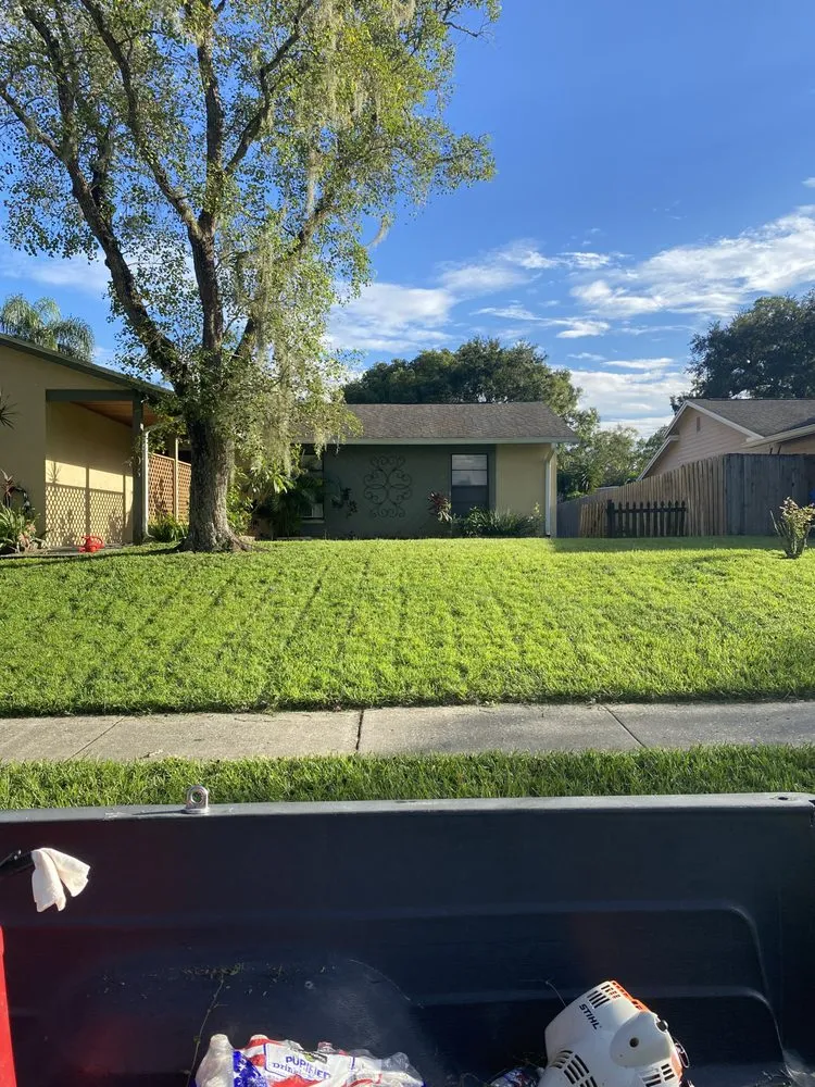 Local lawn care service in Lutz, FL - Premium Landscaping