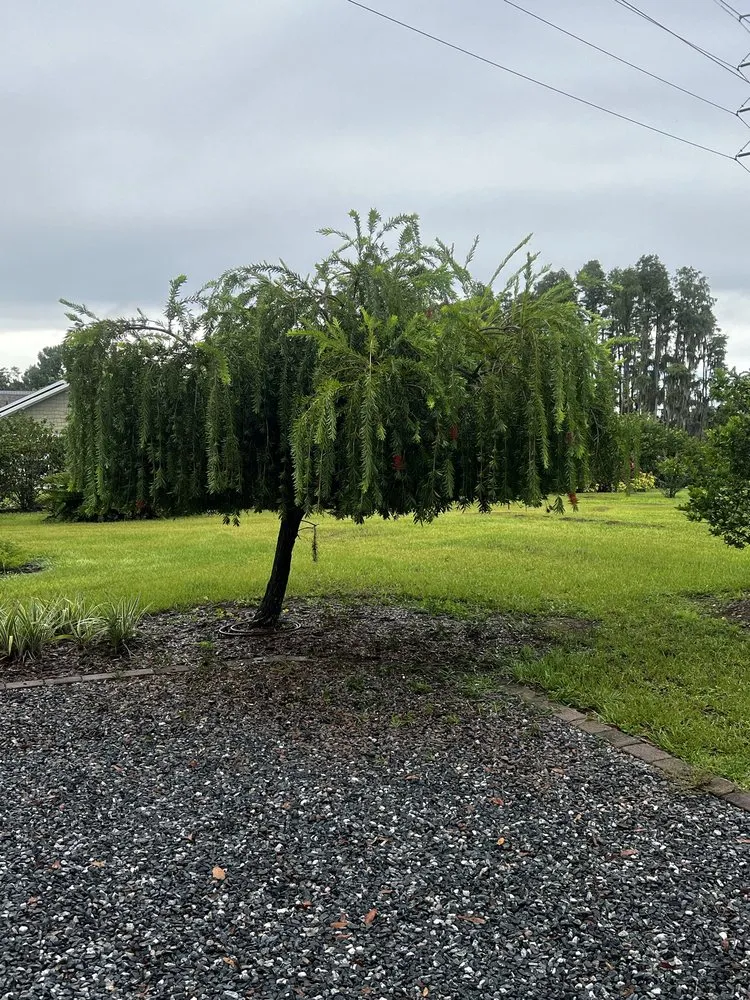 Top-rated outdoor landscaping in Lutz, FL by Premium Landscaping