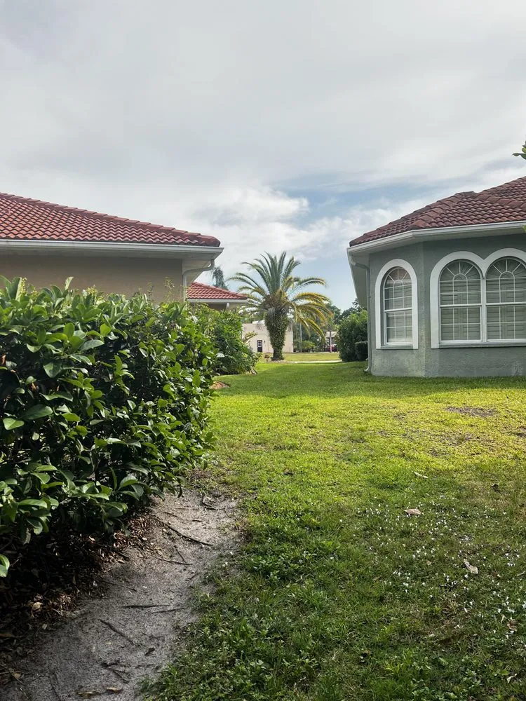 Top-rated landscaping services in Lutz, FL - Premium Landscaping