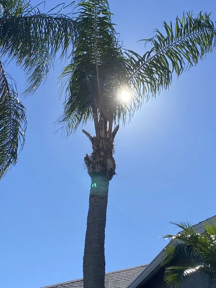 Top-rated landscaping services in Lutz, FL by Premium Landscaping