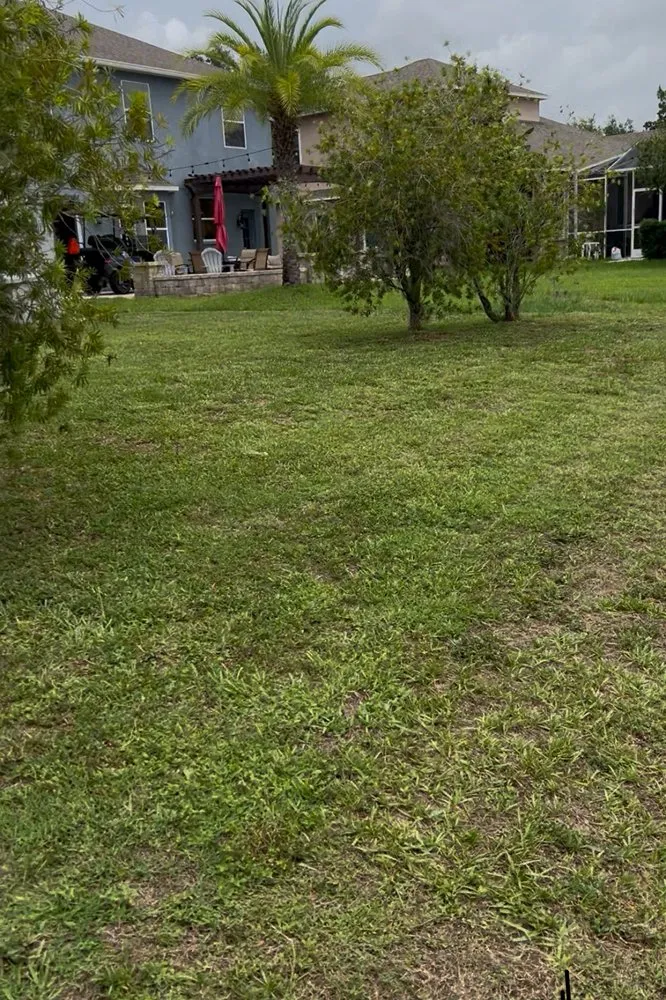 Local residential landscaping for beautiful yards across Lutz, FL - Premium Landscaping